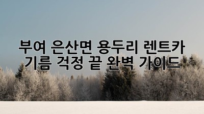 부여 은산면 용두리 렌트카, 기름 걱정 끝! 완벽 가이드